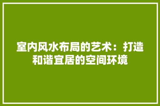 室内风水布局的艺术：打造和谐宜居的空间环境 现代风格装饰
