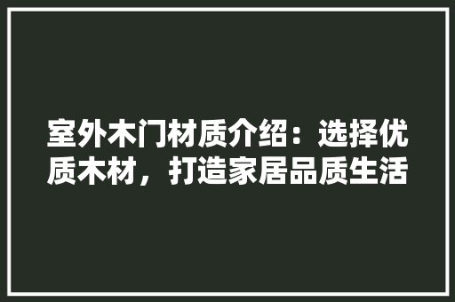 室外木门材质介绍：选择优质木材，打造家居品质生活 现代风格装饰