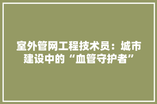 室外管网工程技术员：城市建设中的“血管守护者” 现代风格装饰