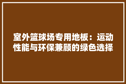 室外篮球场专用地板：运动性能与环保兼顾的绿色选择 现代风格装饰