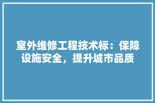 室外维修工程技术标：保障设施安全，提升城市品质 现代风格装饰