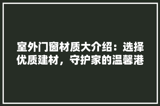 室外门窗材质大介绍：选择优质建材，守护家的温馨港湾 现代风格装饰