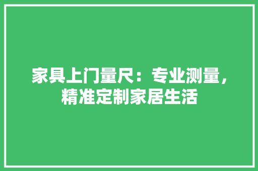 家具上门量尺：专业测量，精准定制家居生活 现代风格装饰