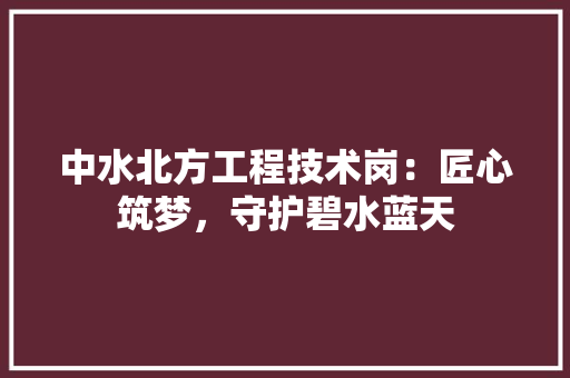 中水北方工程技术岗：匠心筑梦，守护碧水蓝天 家居装修