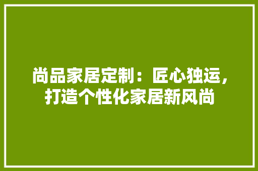 尚品家居定制：匠心独运，打造个性化家居新风尚 现代风格装饰