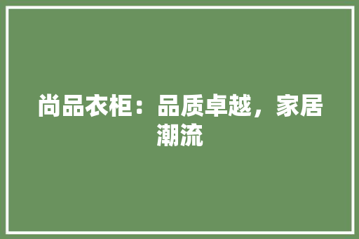 尚品衣柜：品质卓越，家居潮流 现代风格装饰