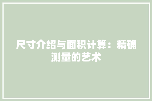 尺寸介绍与面积计算：精确测量的艺术 现代风格装饰
