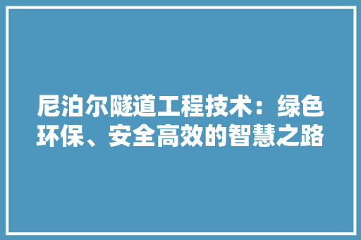 尼泊尔隧道工程技术：绿色环保、安全高效的智慧之路 现代风格装饰