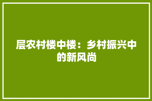 层农村楼中楼：乡村振兴中的新风尚