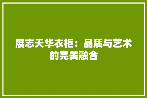 展志天华衣柜：品质与艺术的完美融合 现代风格装饰
