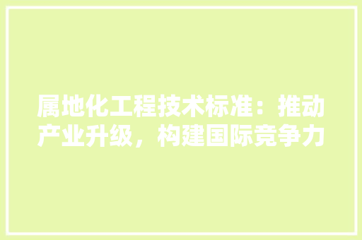 属地化工程技术标准：推动产业升级，构建国际竞争力