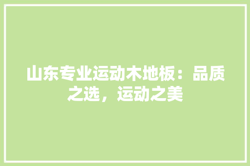 山东专业运动木地板：品质之选，运动之美 现代风格装饰