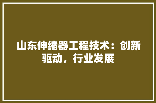 山东伸缩器工程技术：创新驱动，行业发展 现代风格装饰
