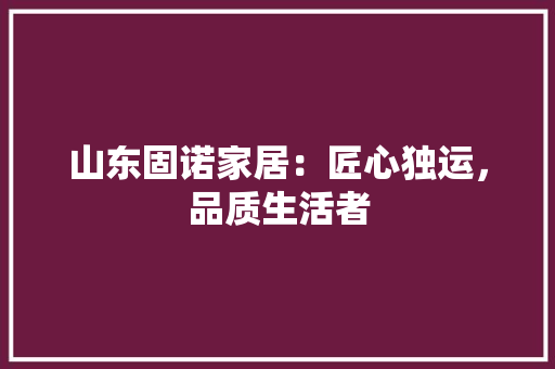 山东固诺家居：匠心独运，品质生活者 现代风格装饰