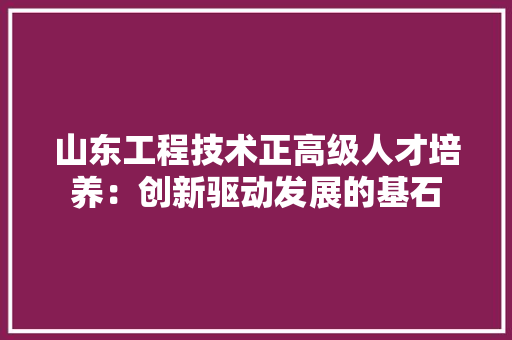 山东工程技术正高级人才培养：创新驱动发展的基石 现代风格装饰