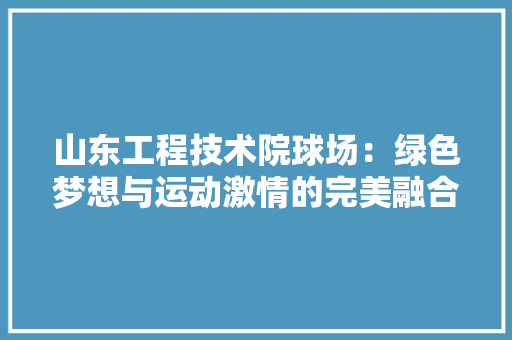 山东工程技术院球场：绿色梦想与运动激情的完美融合 现代风格装饰
