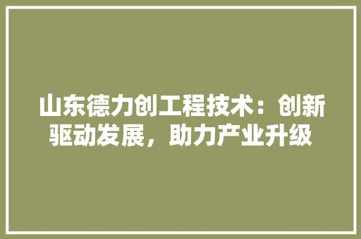 山东德力创工程技术：创新驱动发展，助力产业升级 现代风格装饰