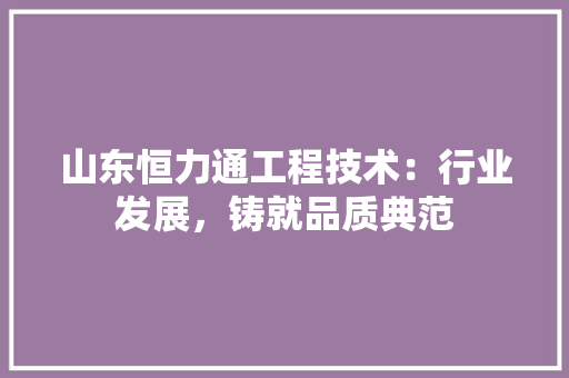 山东恒力通工程技术：行业发展，铸就品质典范 现代风格装饰