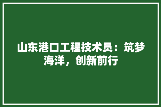 山东港口工程技术员：筑梦海洋，创新前行 现代风格装饰