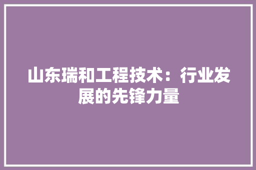 山东瑞和工程技术：行业发展的先锋力量 现代风格装饰
