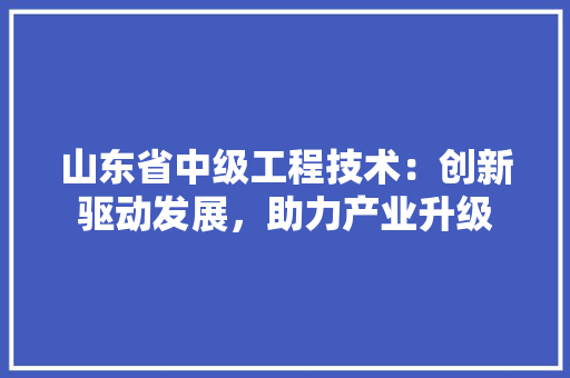 山东省中级工程技术：创新驱动发展，助力产业升级 现代风格装饰
