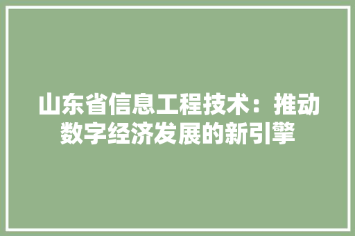 山东省信息工程技术：推动数字经济发展的新引擎 现代风格装饰
