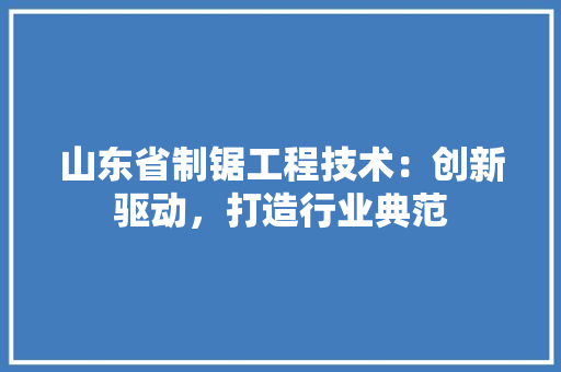 山东省制锯工程技术：创新驱动，打造行业典范 现代风格装饰