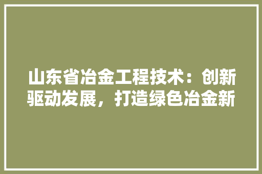 山东省冶金工程技术：创新驱动发展，打造绿色冶金新标杆 现代风格装饰