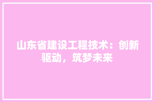 山东省建设工程技术：创新驱动，筑梦未来 现代风格装饰