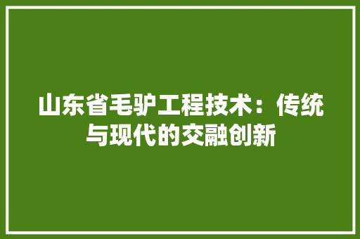 山东省毛驴工程技术：传统与现代的交融创新 现代风格装饰