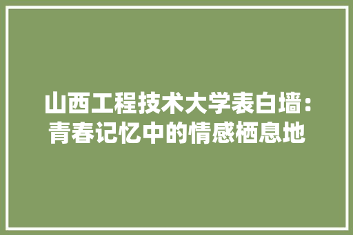 山西工程技术大学表白墙：青春记忆中的情感栖息地 现代风格装饰