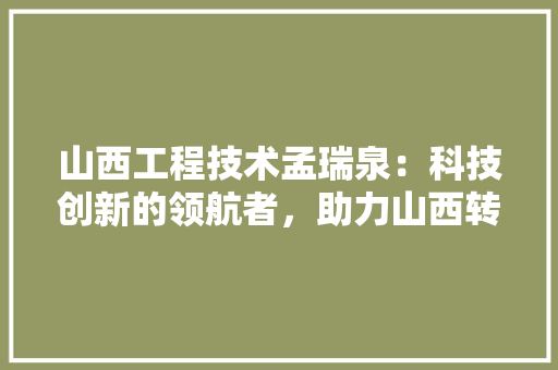 山西工程技术孟瑞泉：科技创新的领航者，助力山西转型发展 现代风格装饰