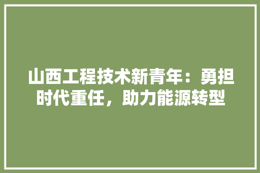 山西工程技术新青年：勇担时代重任，助力能源转型 现代风格装饰