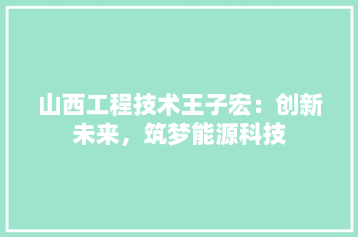 山西工程技术王子宏：创新未来，筑梦能源科技 现代风格装饰