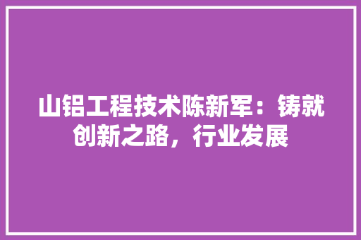 山铝工程技术陈新军：铸就创新之路，行业发展 现代风格装饰