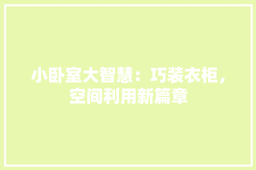 小卧室大智慧：巧装衣柜，空间利用新篇章 现代风格装饰