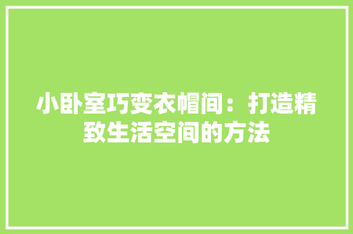 小卧室巧变衣帽间：打造精致生活空间的方法 现代风格装饰