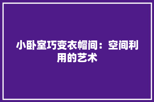小卧室巧变衣帽间：空间利用的艺术 现代风格装饰