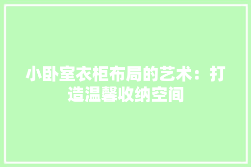 小卧室衣柜布局的艺术：打造温馨收纳空间 现代风格装饰