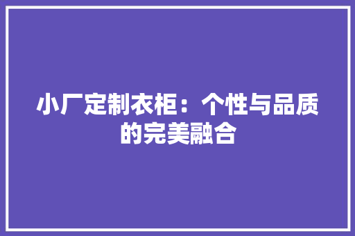 小厂定制衣柜：个性与品质的完美融合 现代风格装饰