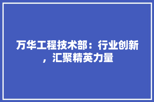 万华工程技术部：行业创新，汇聚精英力量