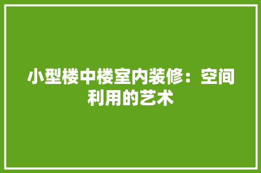 小型楼中楼室内装修：空间利用的艺术