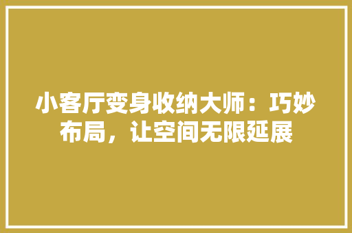 小客厅变身收纳大师：巧妙布局，让空间无限延展 现代风格装饰