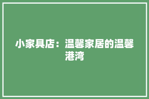 小家具店：温馨家居的温馨港湾 现代风格装饰