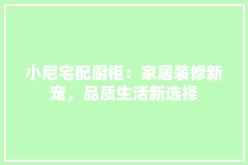 小尼宅配厨柜：家居装修新宠，品质生活新选择 现代风格装饰