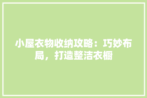 小屋衣物收纳攻略：巧妙布局，打造整洁衣橱 现代风格装饰