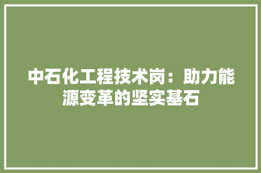 中石化工程技术岗：助力能源变革的坚实基石 家居装修