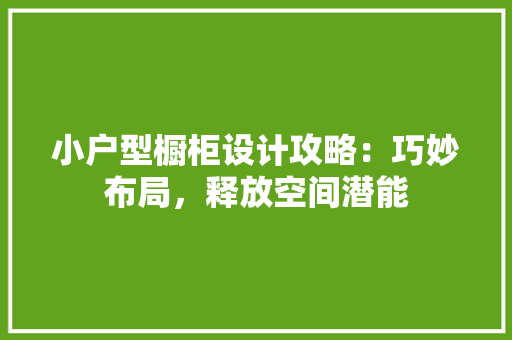 小户型橱柜设计攻略：巧妙布局，释放空间潜能 现代风格装饰