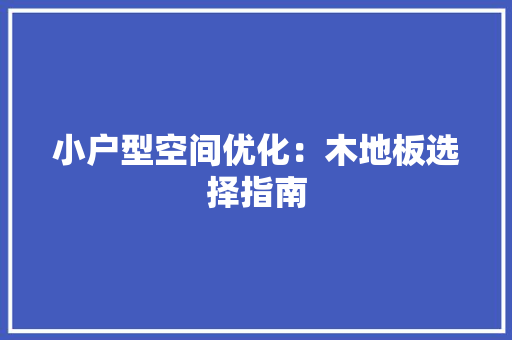 小户型空间优化：木地板选择指南 现代风格装饰