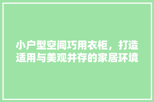 小户型空间巧用衣柜，打造适用与美观并存的家居环境